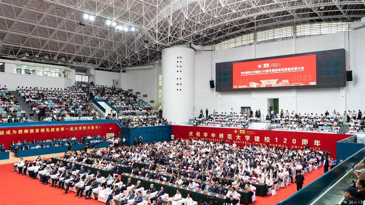cc国际网投